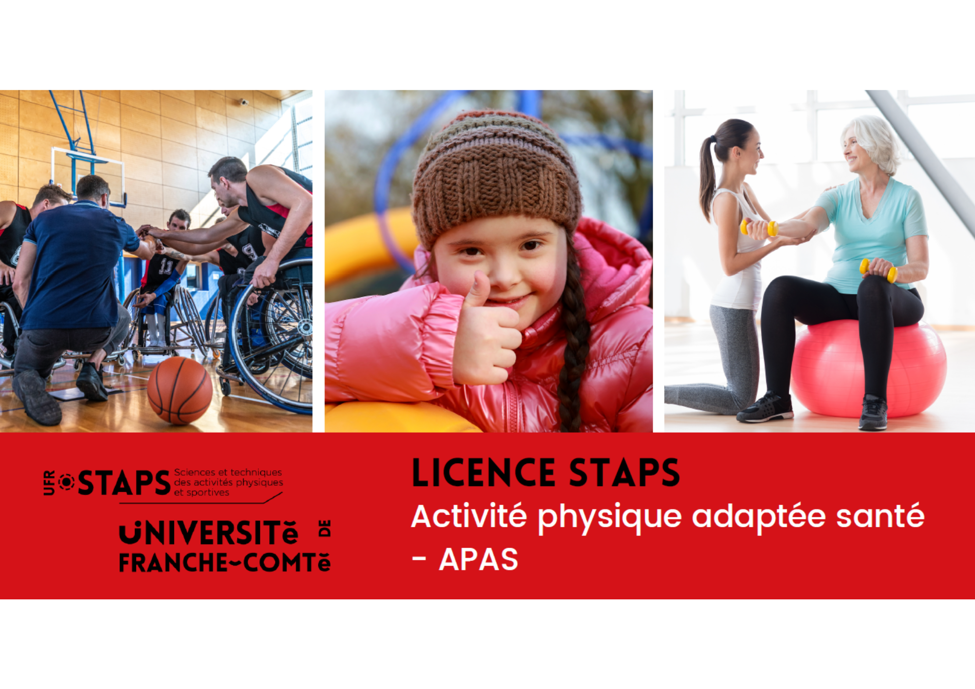 Licence APAS