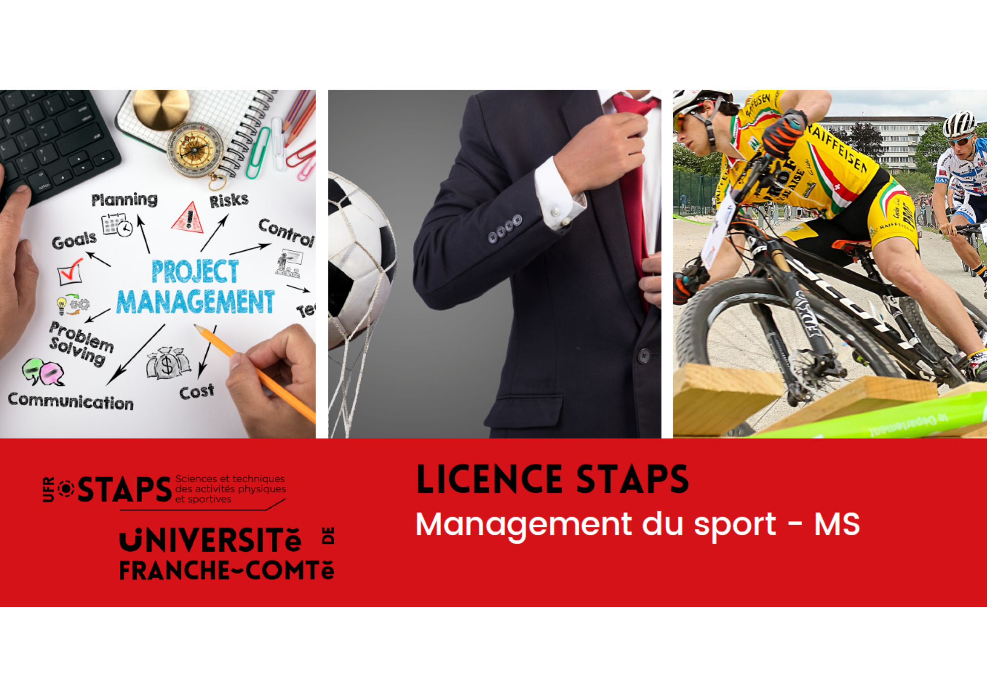 Licence MS