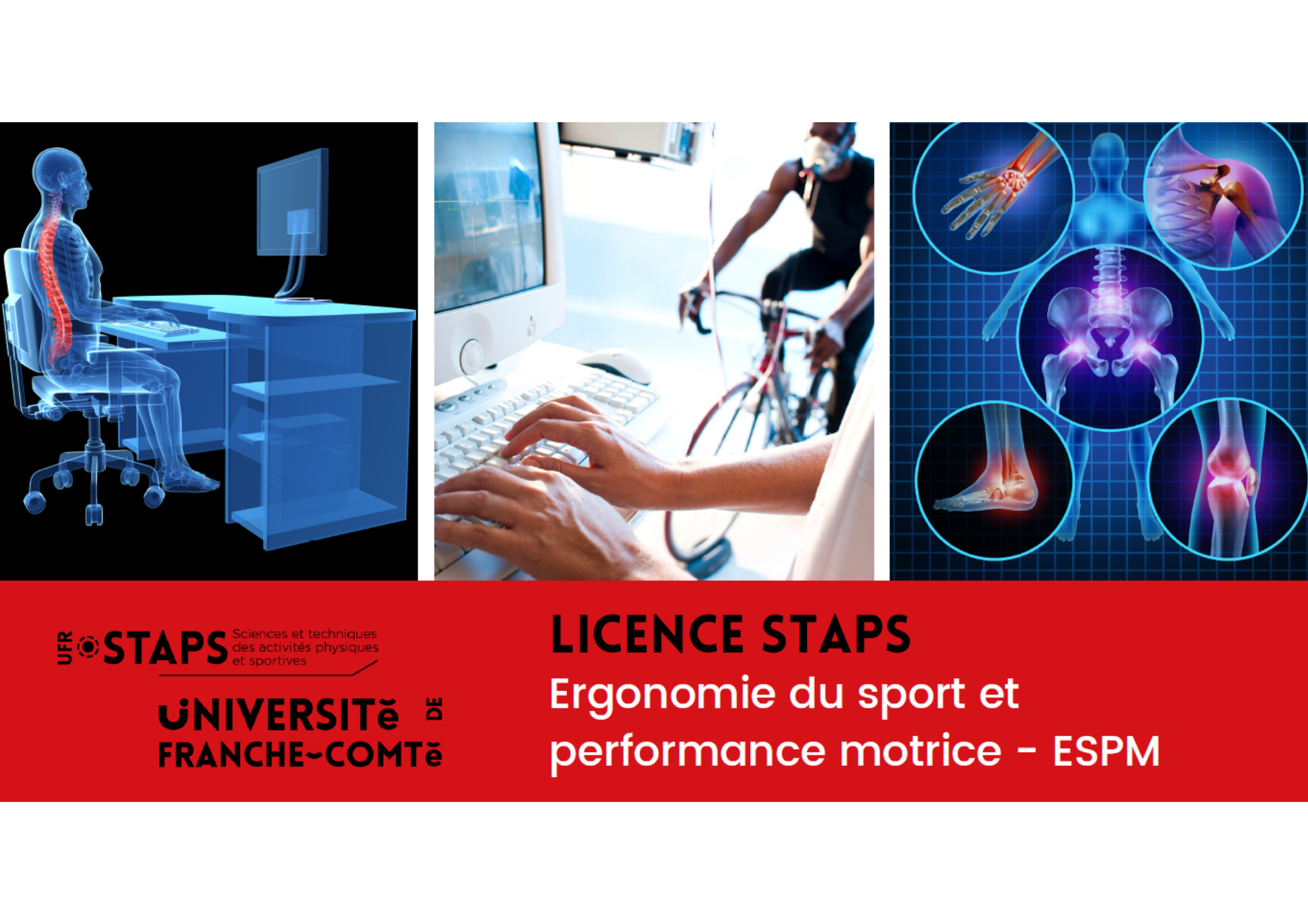 Licence ESPM