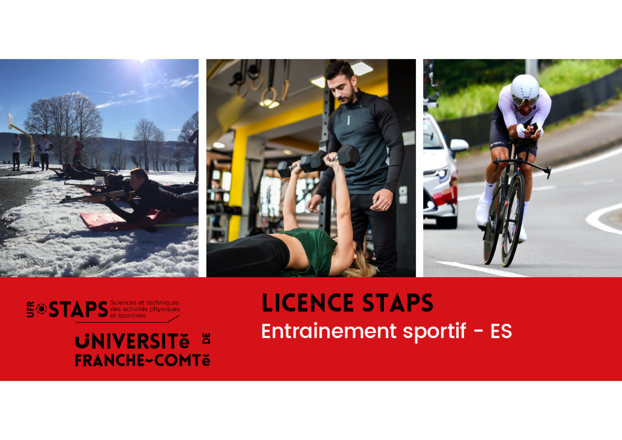 Licence ES
